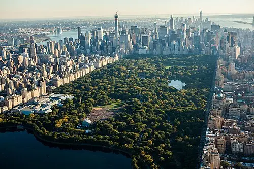 Essere vegani sotto Trump; via le carrozze a cavallo da NY; il rifugio di Cerignola